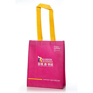 Non-woven shopping bag-11