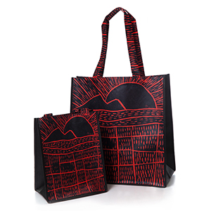 Non-woven shopping bag-12