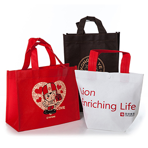 Non-woven shopping bag-13