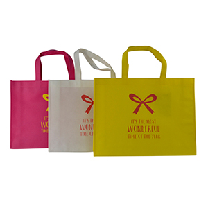 Non-woven shopping bag-17