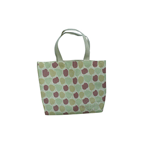 Non-woven shopping bag-21