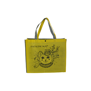 Non-woven shopping bag-27