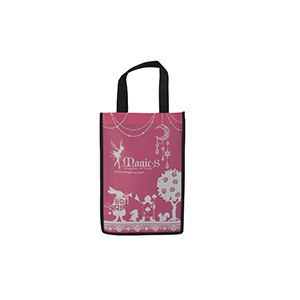 Non-woven shopping bag-29