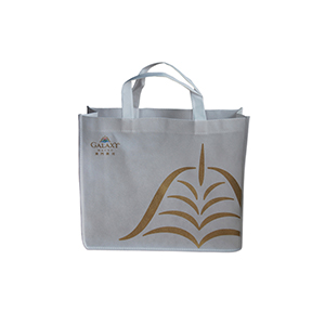 Non-woven shopping bag-33